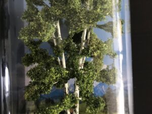 Dubbelstammige berk schaal 0 en H0 Noch