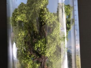 Haagbeuk schaal H0, TT, N spoor 21690