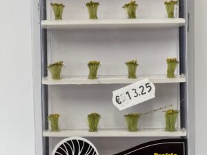 woodland struikjes FS776