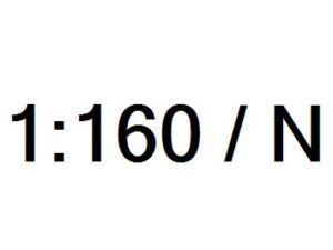 Schaal N (1:160)