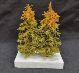 GMS Bomen - Herfstkleur Sparren - 2 x 15 cm - Schaal N t/m H0 (gms15a2)