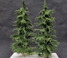 GMS Bomen - Donkergroene Sparren - 2 x 15 cm - Schaal N t/m H0 (gms15d2)