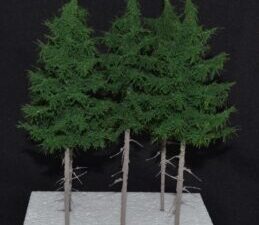 GMS Bomen - Sparren Middengroen – 5 x 20cm | gmsl20m