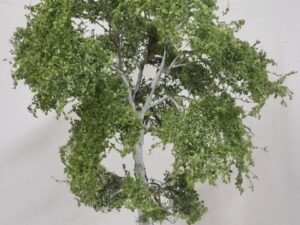 GMS Bomen - Berk Type AA - 14 tot 15 cm hoog (gmbaa)