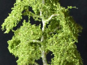 GMS Bomen - Berk Type B - 14 tot 15 cm hoog (gmbba)