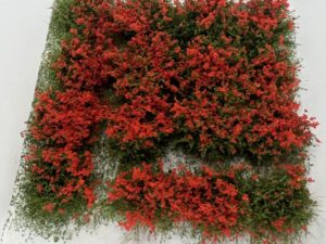 GMS Bloeiende Struiken - Rood - 16 stuks 18-25 mm (gmbbr)