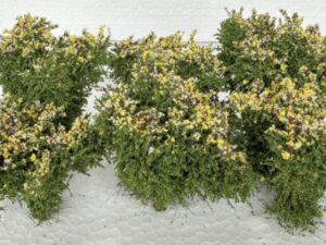 GMS Struiken - Premium Set Middengroen met gele tinten - 6 stuks 4 cm (gmbush000)