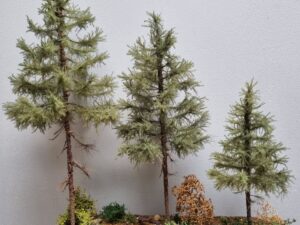GMS Bomen - Dennenboom Groen - 20 cm (gmfp20a)