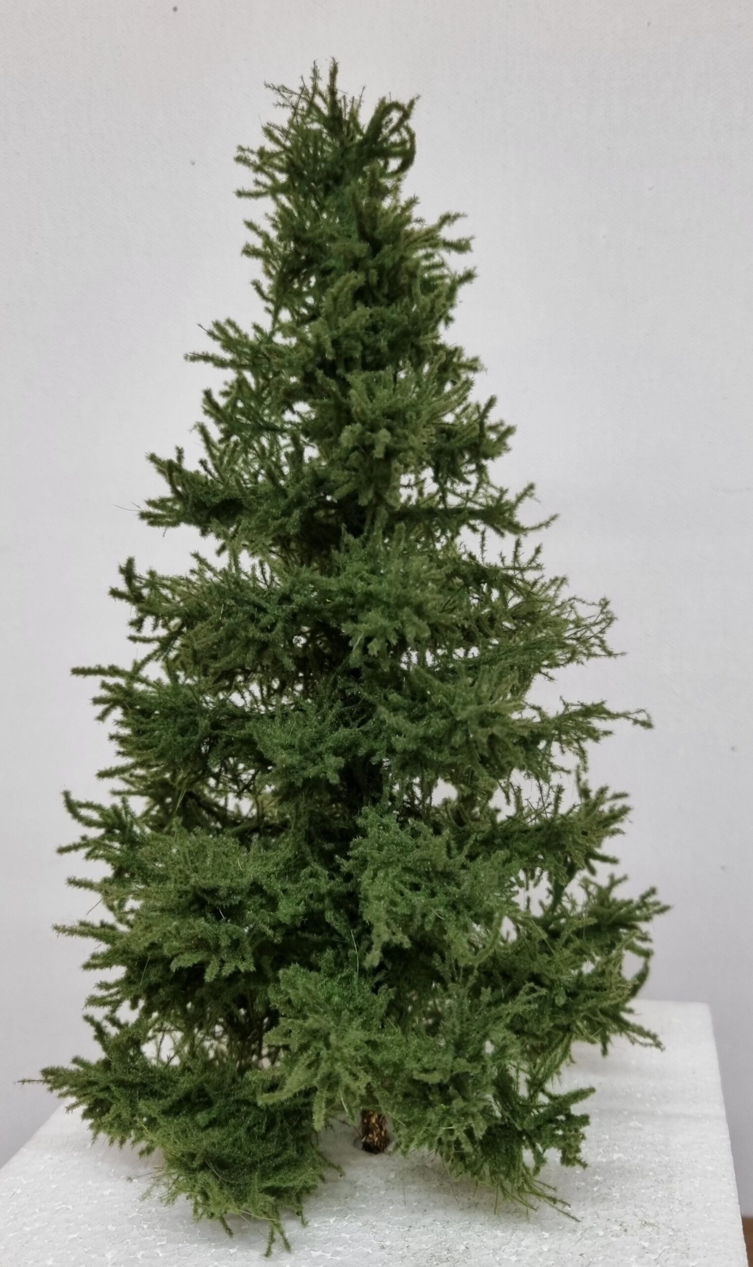 GMS Bomen Premium Spar – 23 tot 25 cm (gmps23)