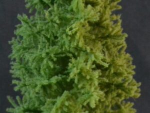 GMS Bomen - Super Spar Middengroen - 1 x 19 tot 20 cm (gmss18)