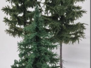 GMS Bomen - Spar Set Donkergroen - 2 x 25 cm met lange stam en 1 x 18 cm  (gmss2518)