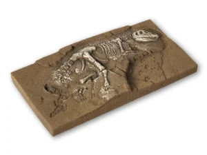 Noch 58614 Dinosaurus T-Rex Arechelogiosche opgraving